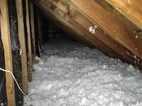 Attic Insulation Image